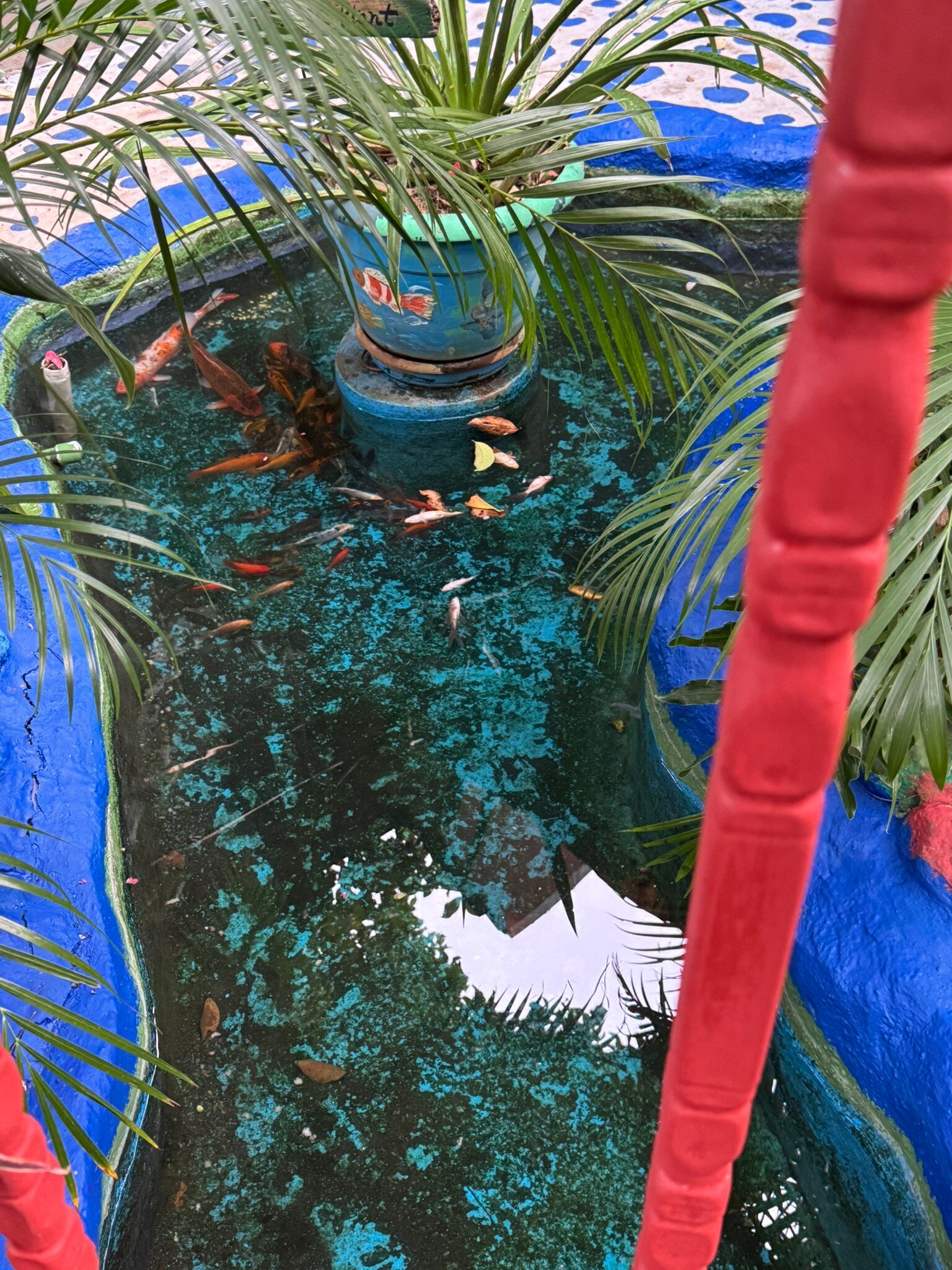 Casa Lima B & B-官方