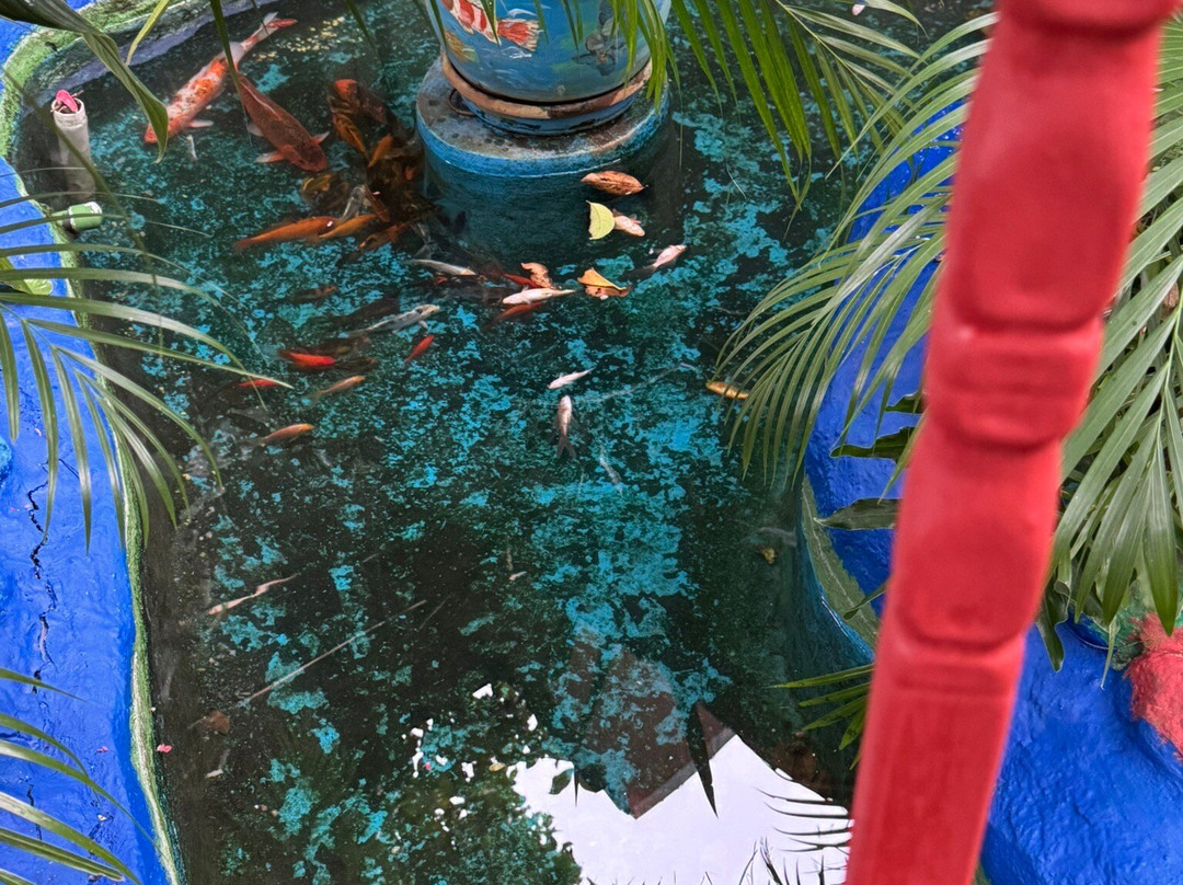 Casa Lima B & B主图