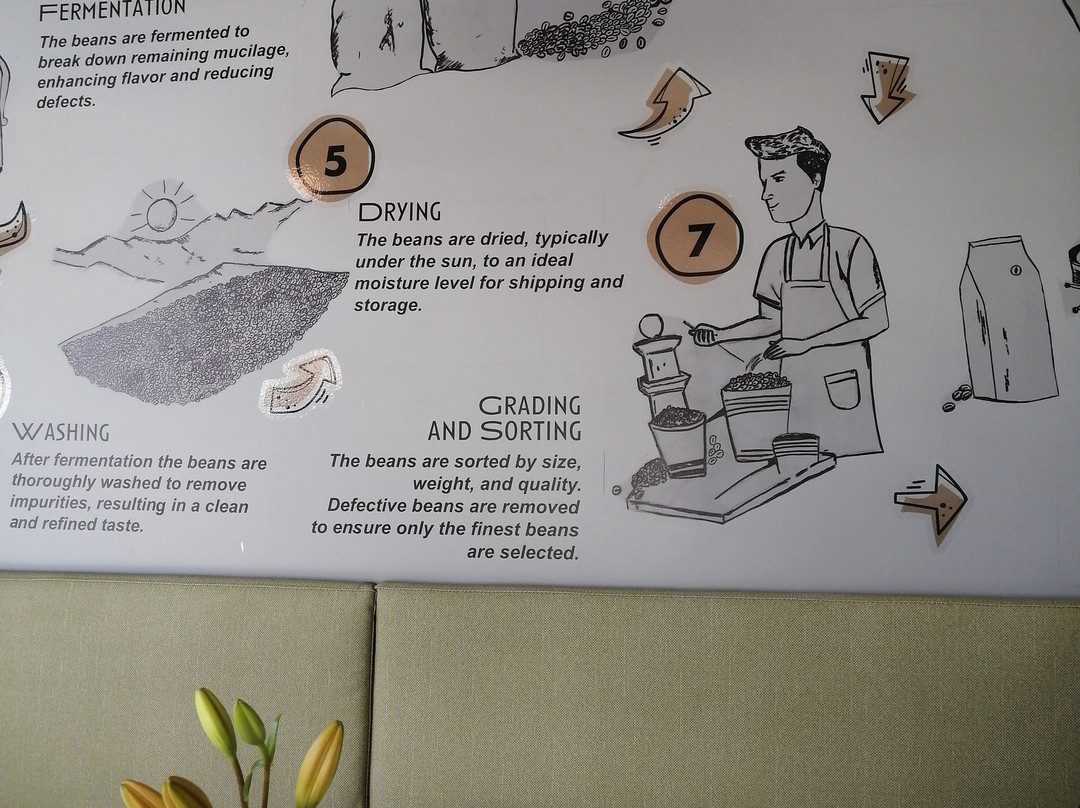 Buena Vida Coffee Roasters