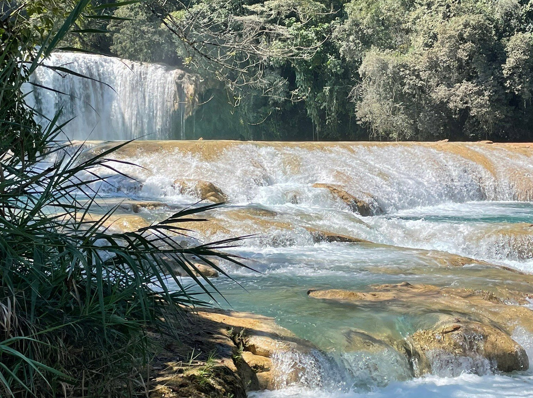 Cascadas de Agua Azul-帕伦克必去景点