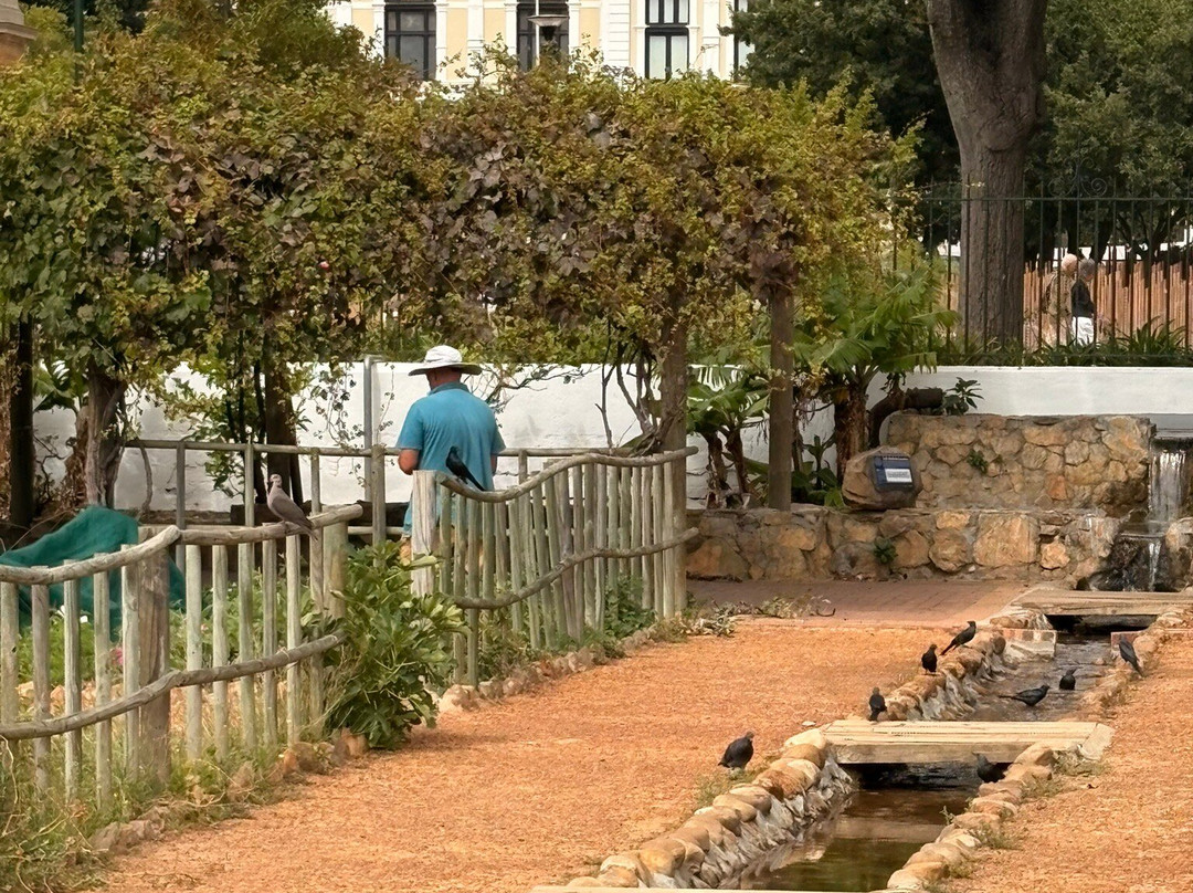 Raw Tours Cape Town-开普敦中心区必去景点