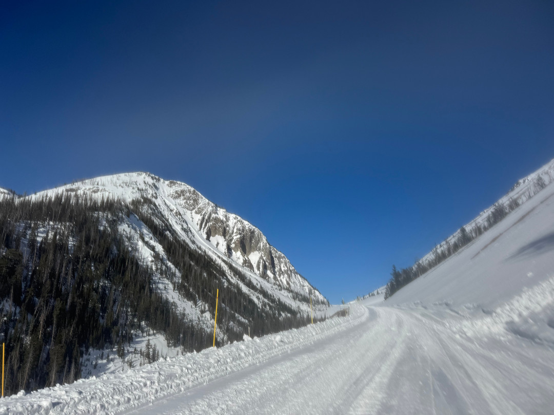Gary Fales Outfitting-科迪必去景点
