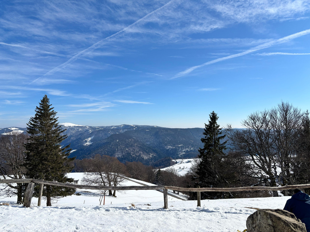 Berghaus Freiburg主图