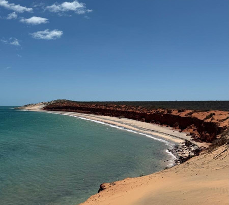 Shark Bay 4WD-德纳姆必去景点