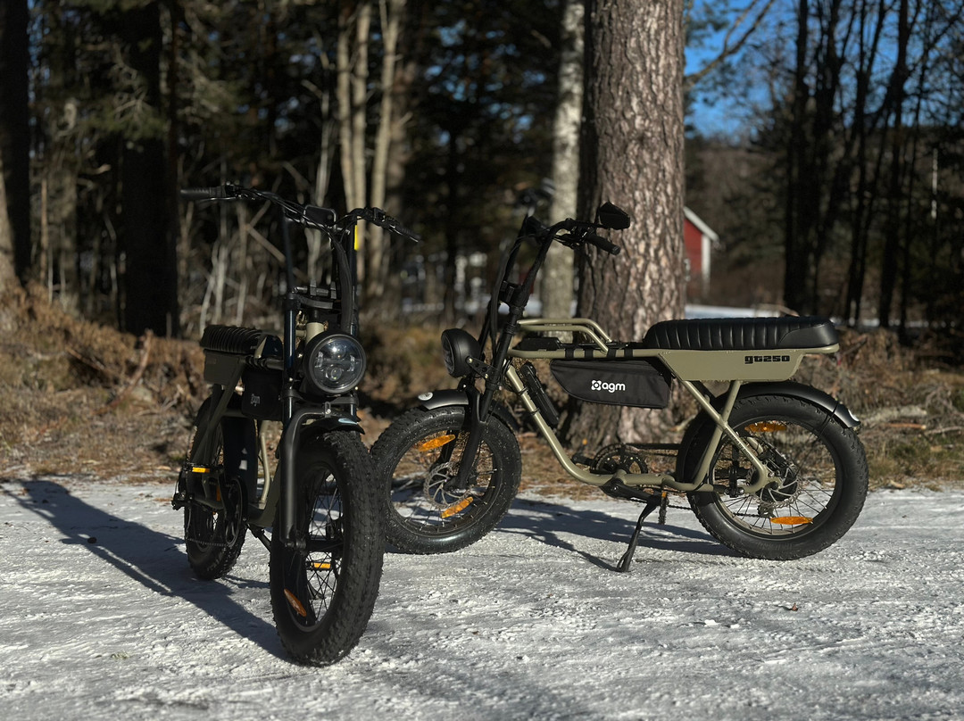 E-bikes Värmland景点图片