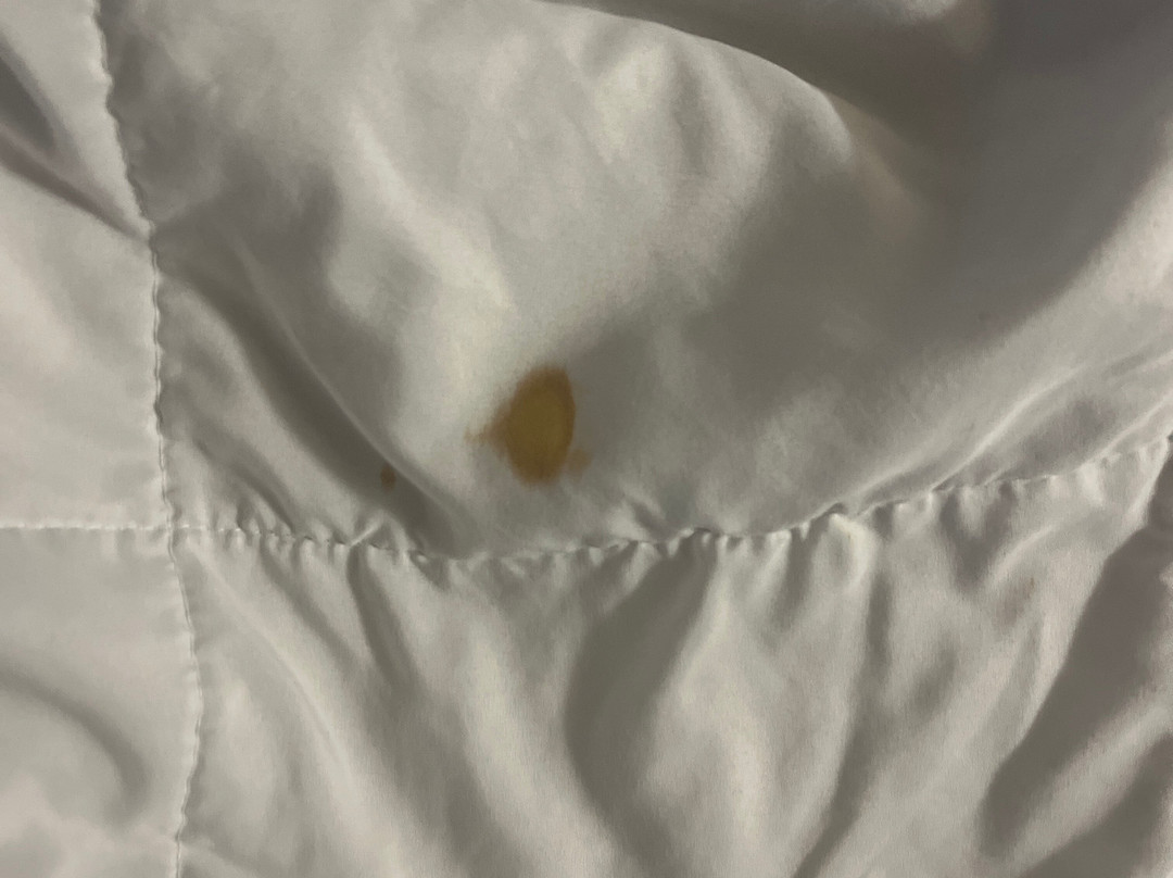 伊根江山旅馆&套房酒店主图