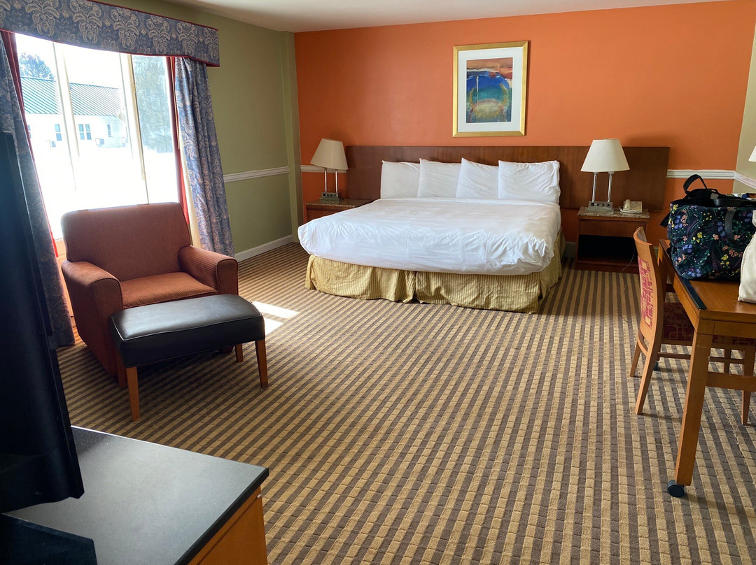 Colonial Motel and Spa主图