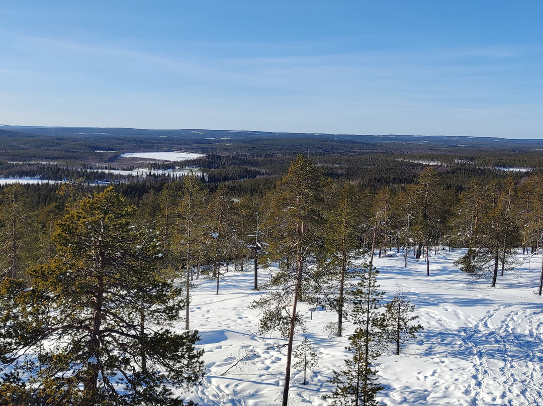 Nordic Unique Travels-罗瓦涅米必去景点