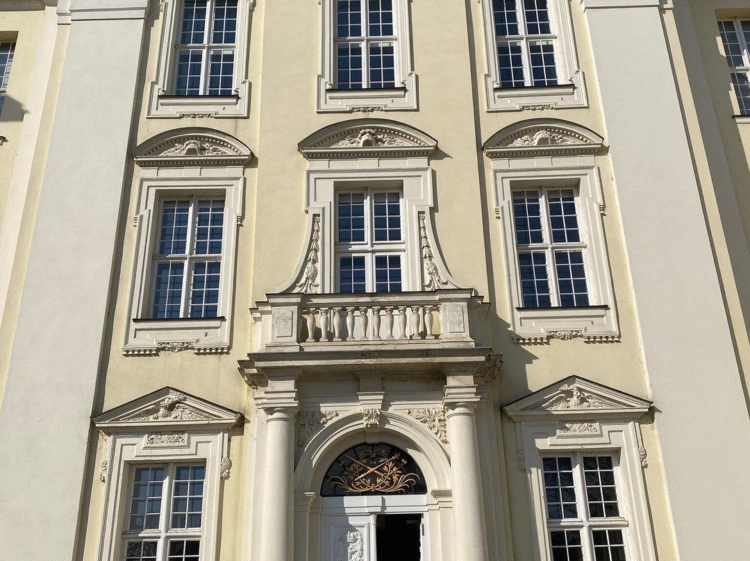 Schloss Kopenick景点图片