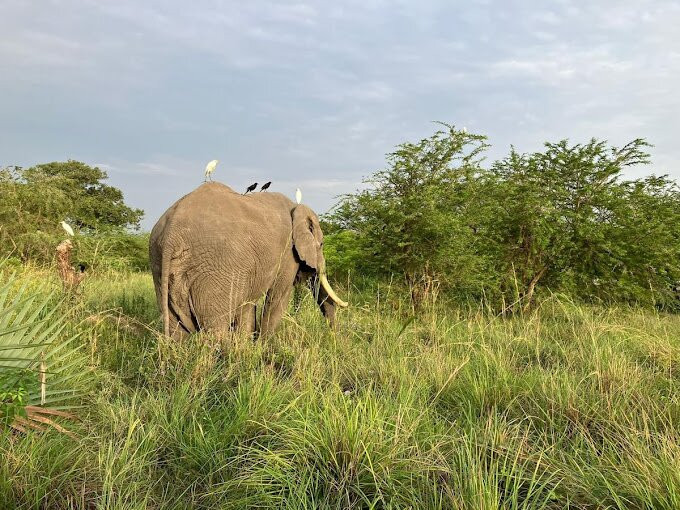 Abigail Safaris Limited