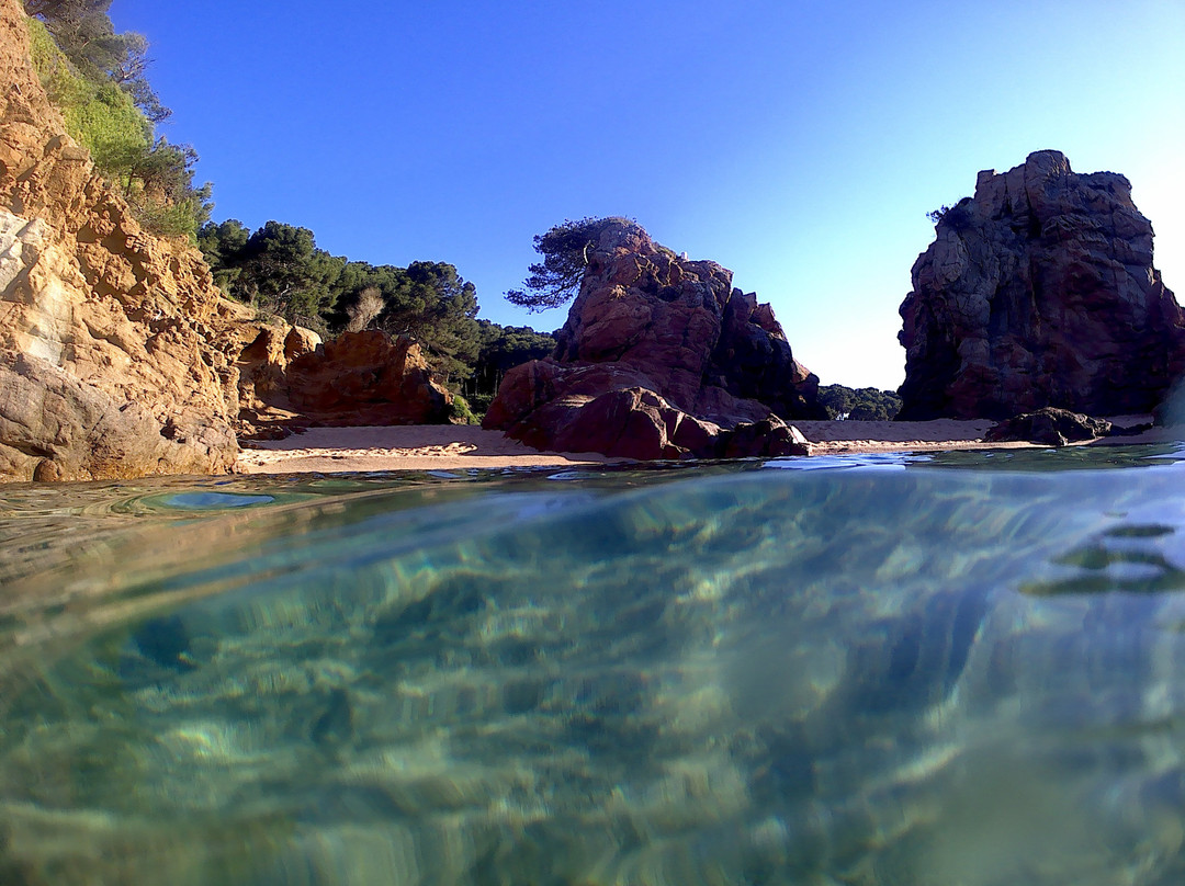Playa de Fenals景点图片