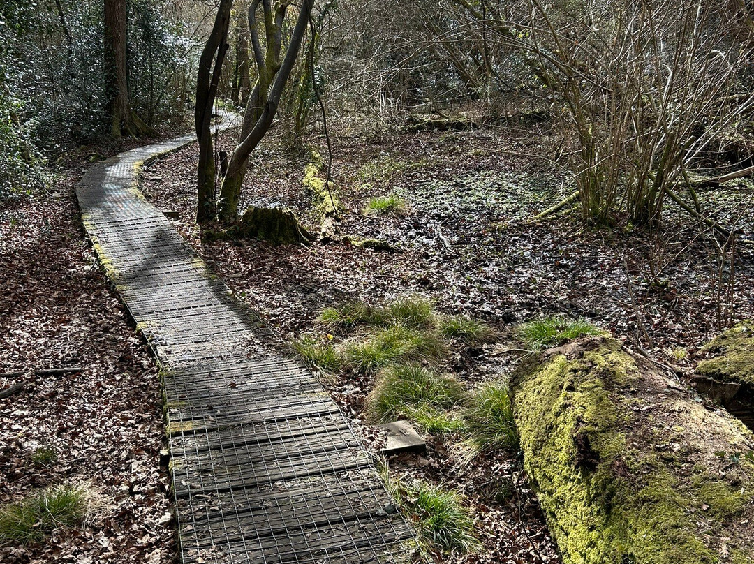 Royal Victoria Country Park-Netley必去景点