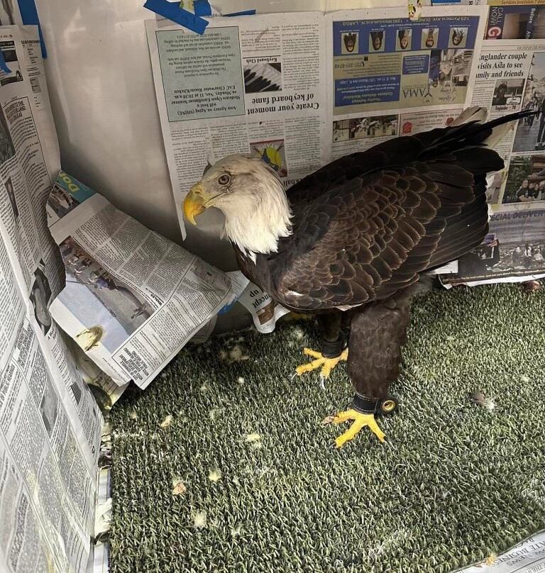 Moccasin Lake Nature Park-克利尔沃特必去景点