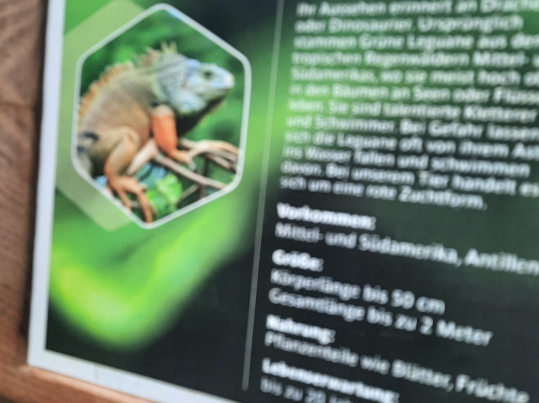 Biosphäre Potsdam-波茨坦必去景点