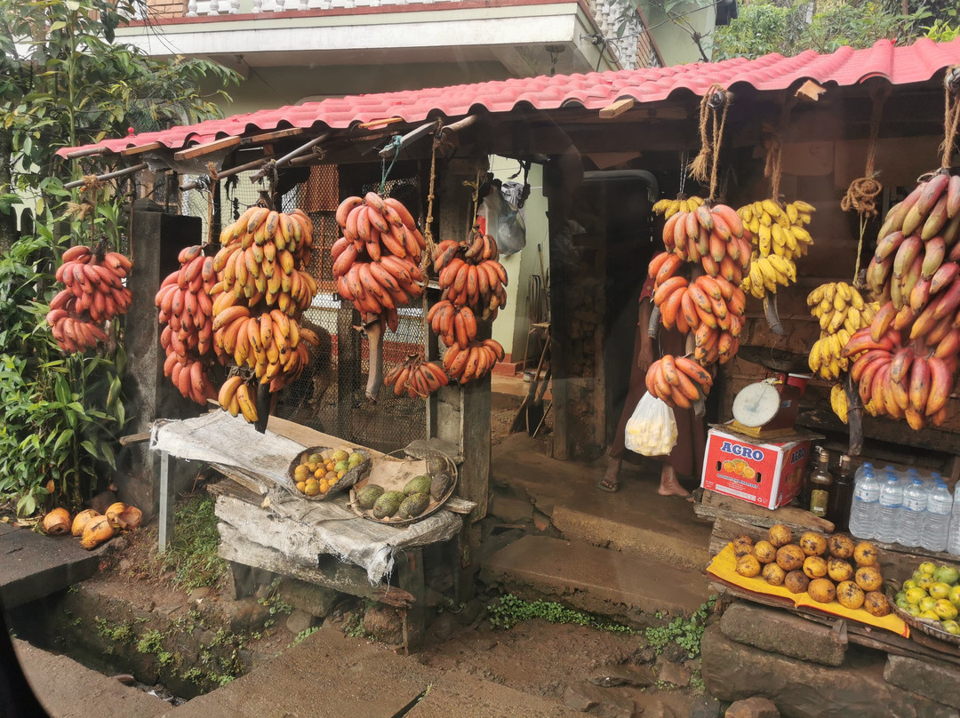 Sri Lanka Tour Guides景点图片