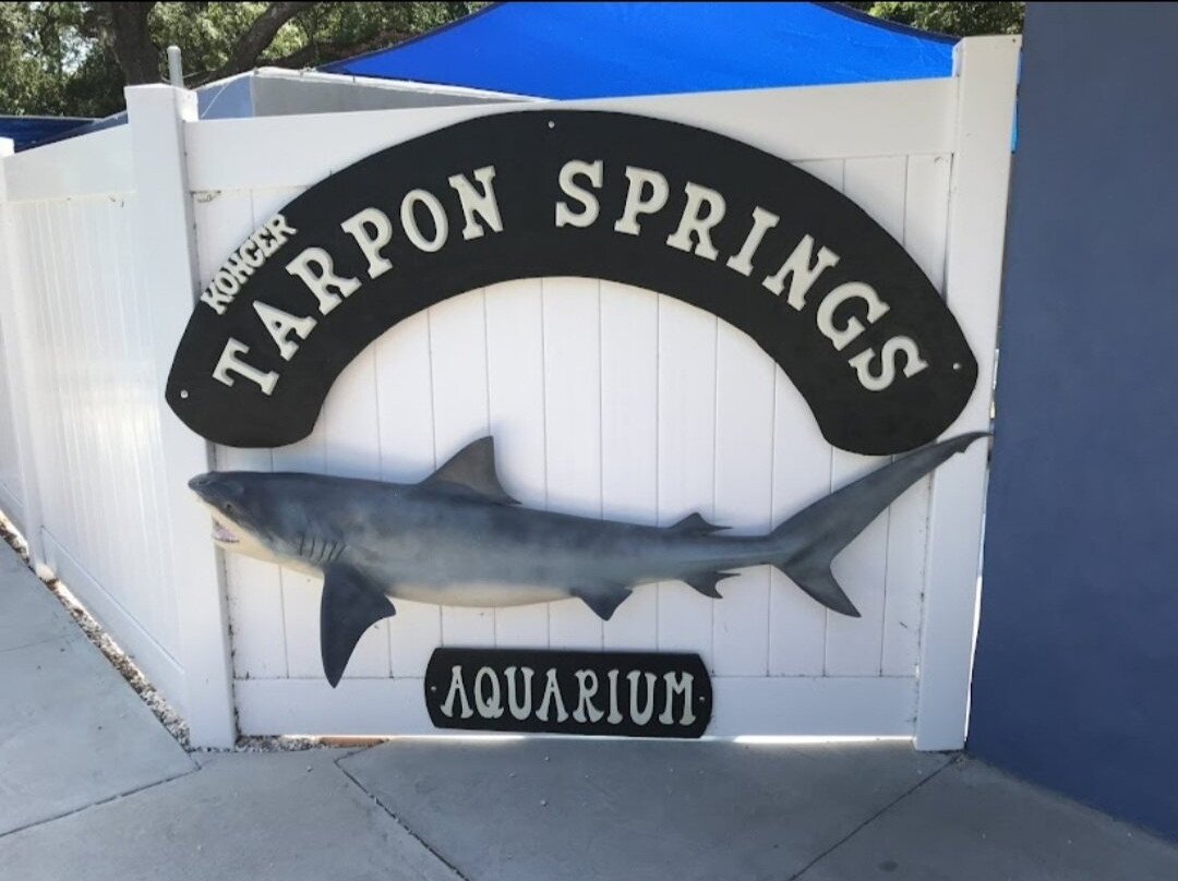 Tarpon Springs Aquarium and Animal Sanctuary-塔彭斯普林斯必去景点