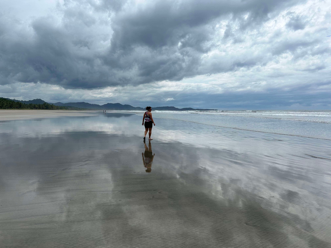 Palmetto Lodge主图