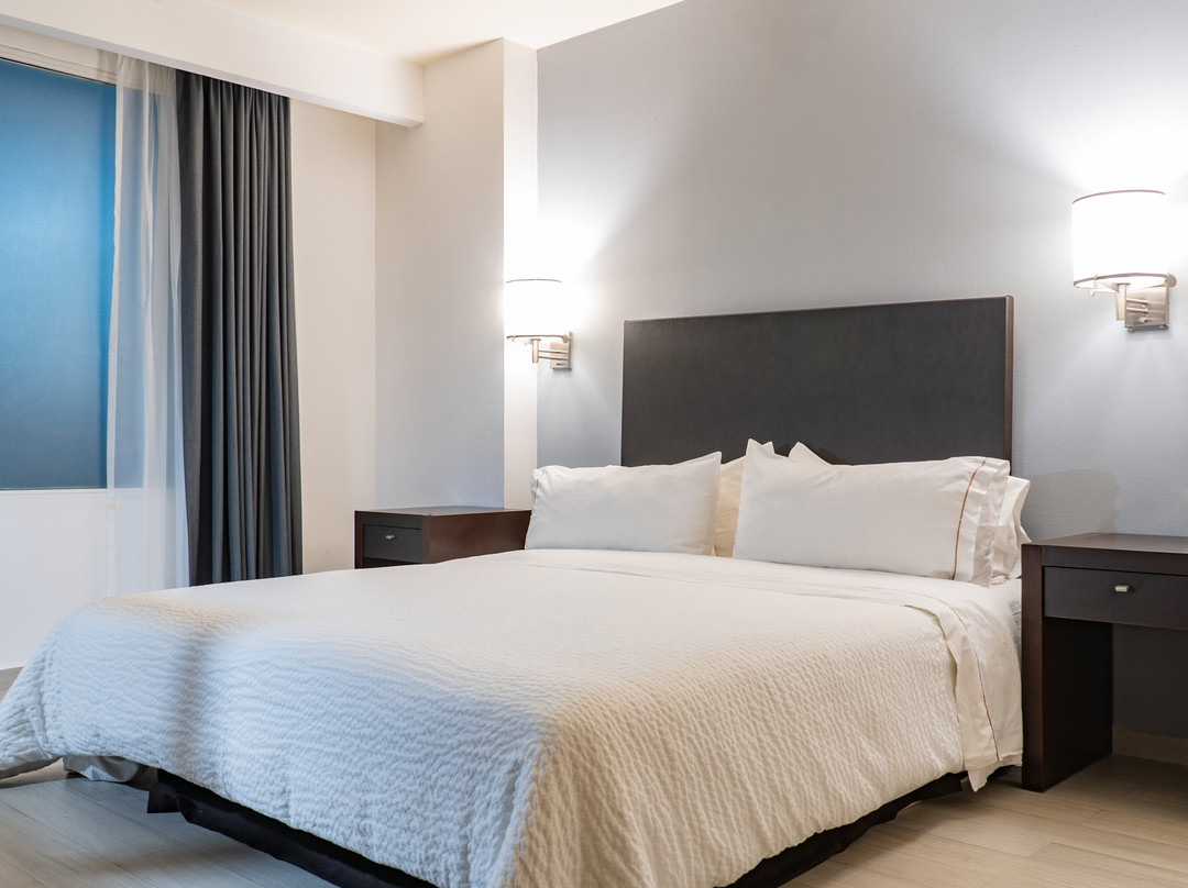 Fiesta Inn Tepic主图