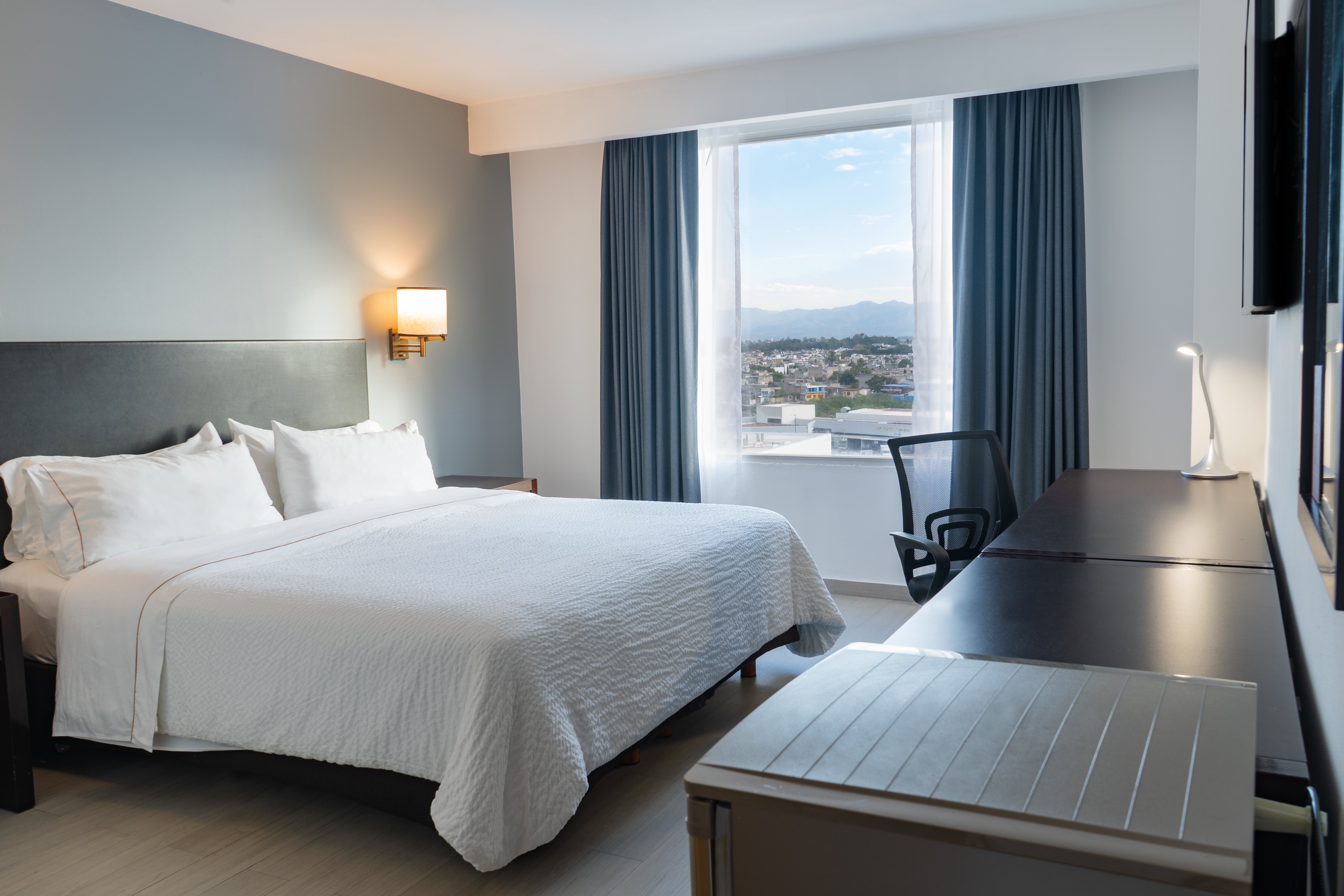 Fiesta Inn Tepic-客卧