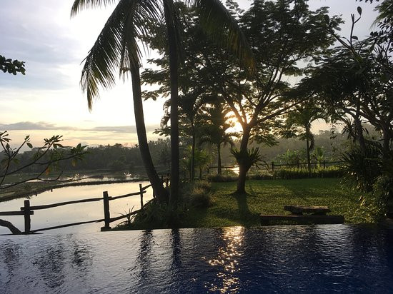 欧玛阿匹克酒店主图