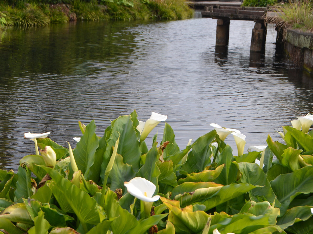 Yusui Park-富士市必去景点
