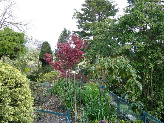 Fir Grove Country House主图