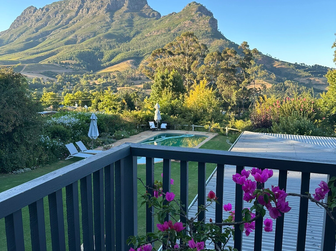 Camberley Wines-斯泰伦博斯必去景点