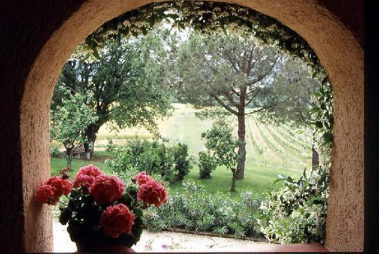 Agriturismo Poggio Tortollo主图