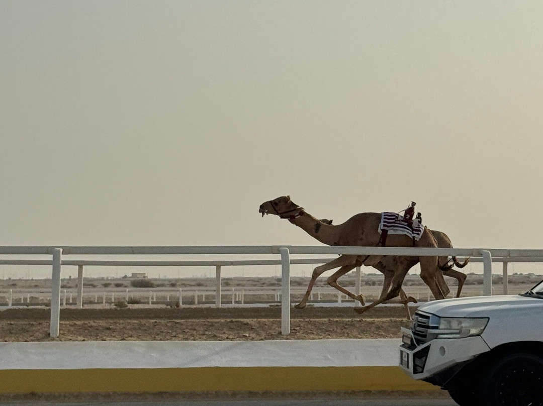 365 Adventures-多哈必去景点