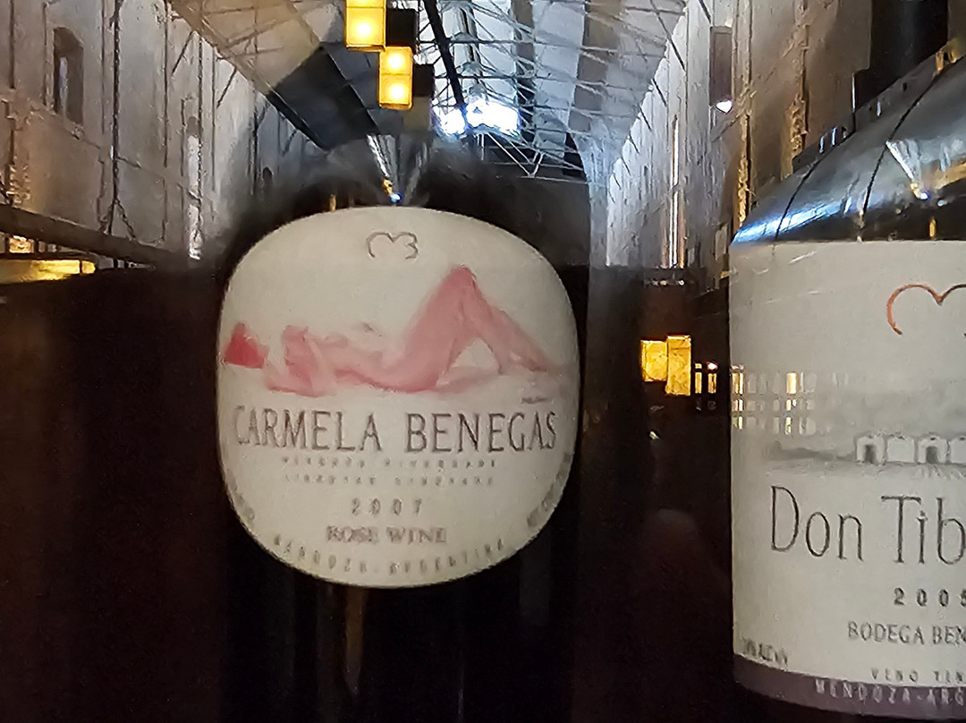 Bodega Benegas-路冉得库约必去景点