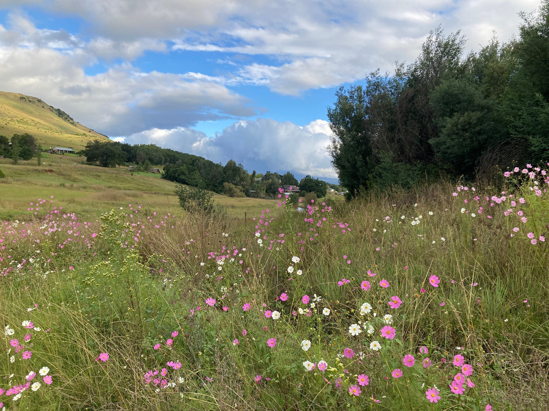 Stoneybrook Ranch Bed and Breakfast主图