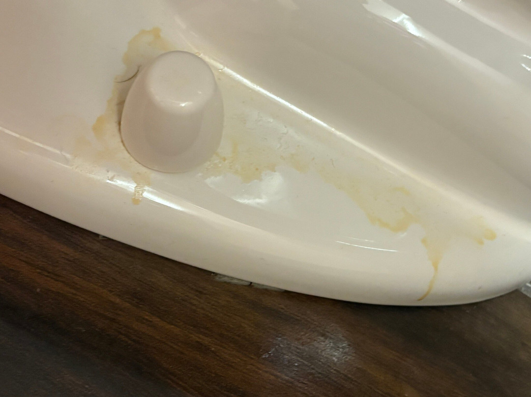 阿普尔顿假日酒店主图