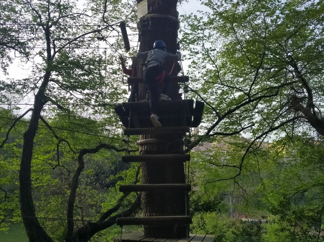 Quercus Park-里帕特兰索内必去景点