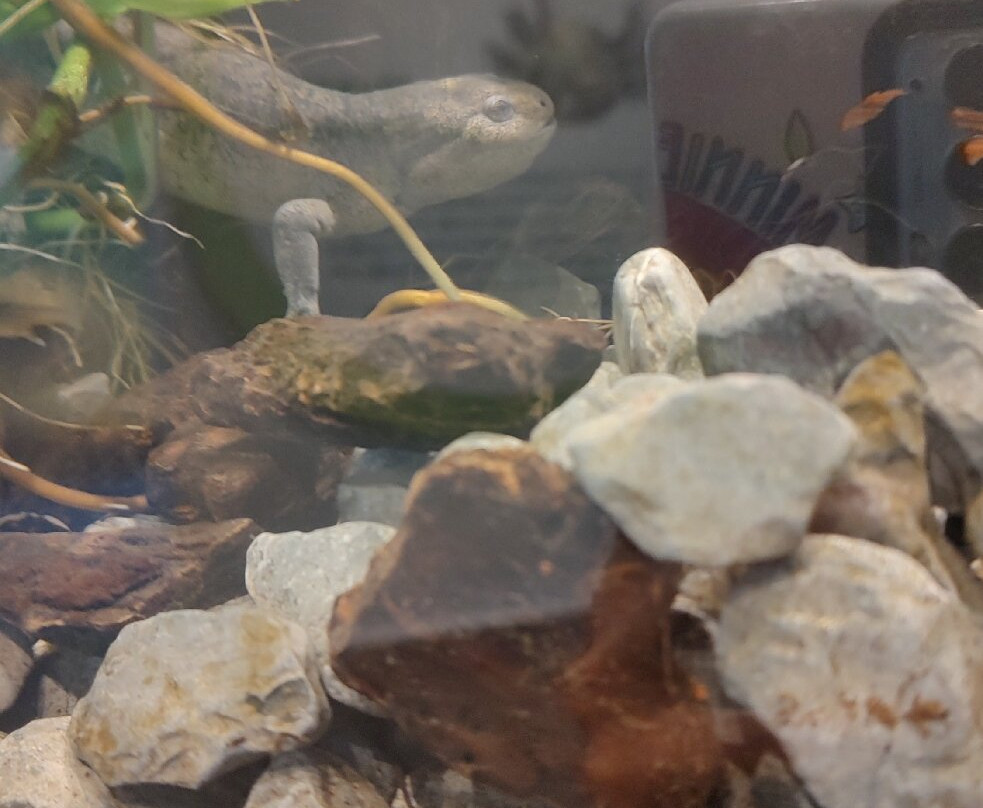 Zoológico de Chapultepec-墨西哥城必去景点