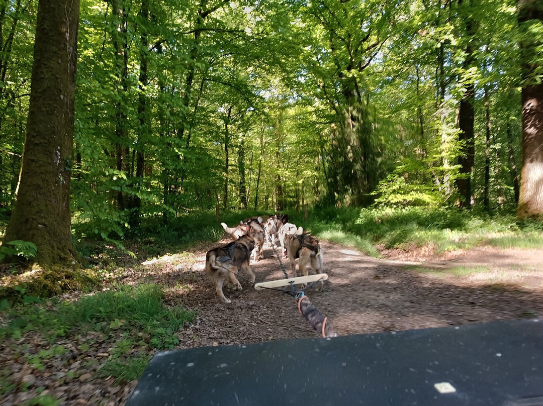 Sled Dog Ride-Saint-Symphorien必去景点