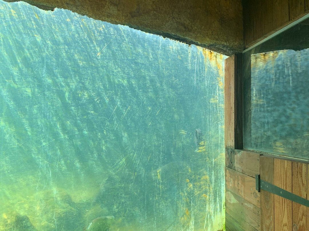 Aquarium du Perigord Noir景点图片
