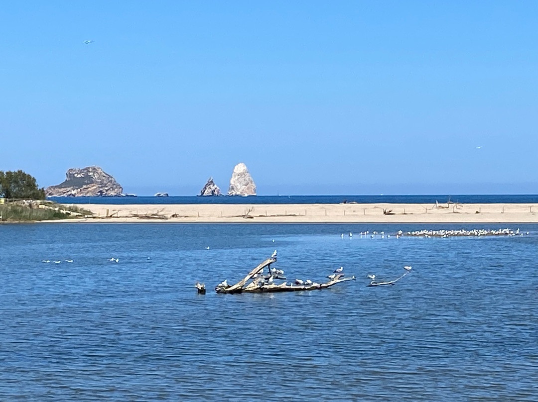 Burricleta S.L-Gualta必去景点