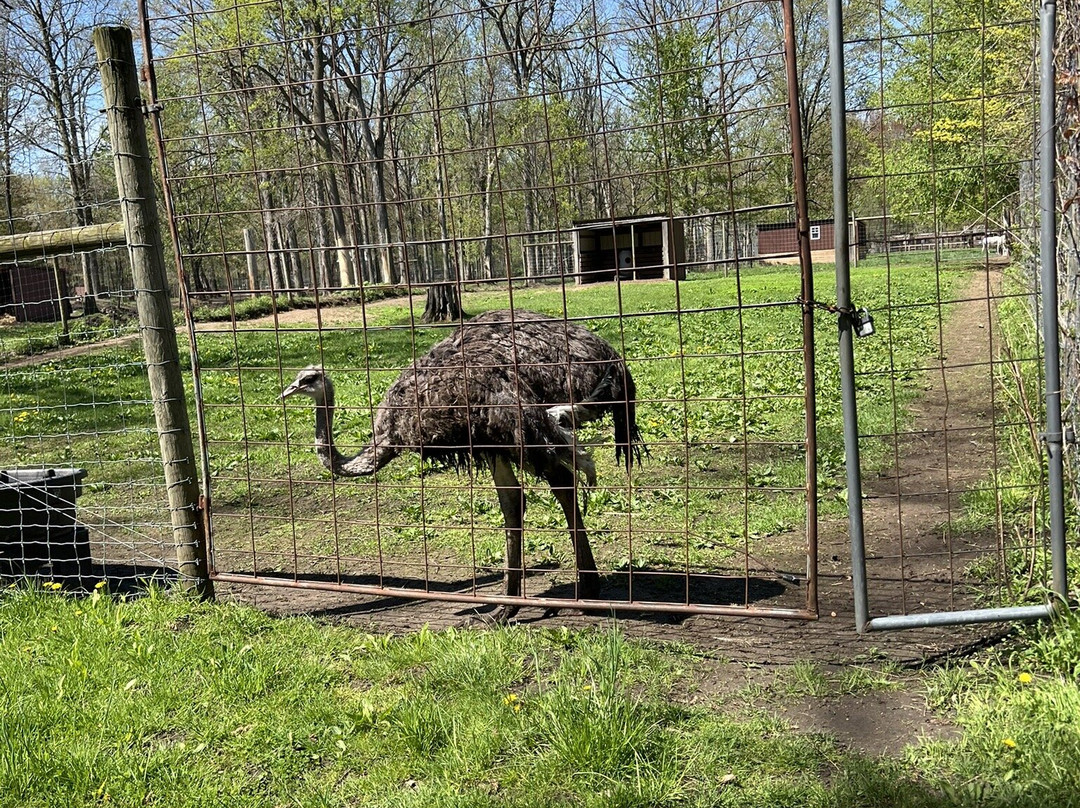 Wilderness Trails Zoo-伯奇伦必去景点