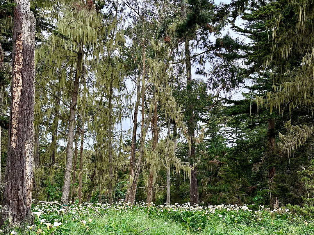 蝴蝶格罗夫旅馆主图