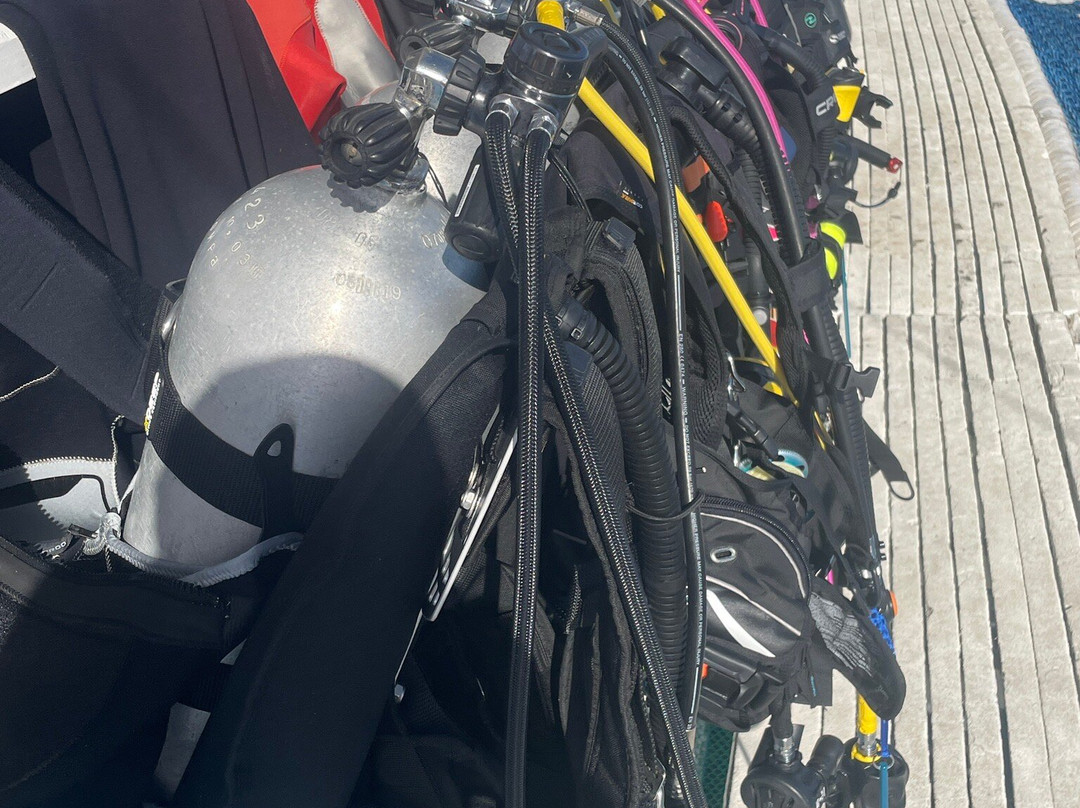 Easy Diving and Beach Resort主图