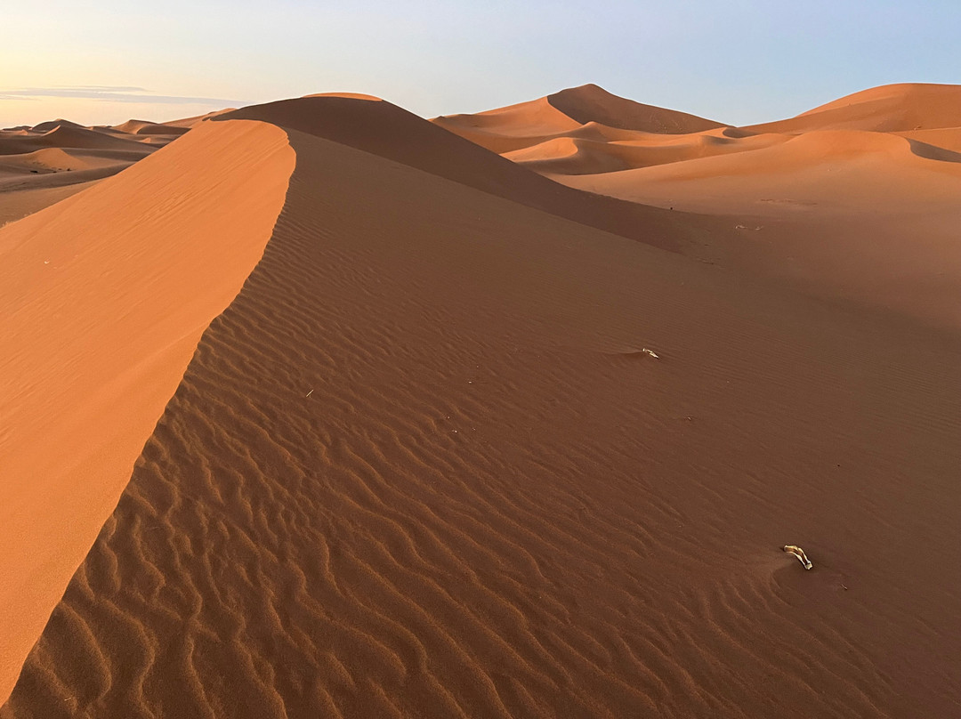 Hotel Kasbah Sahara Services主图