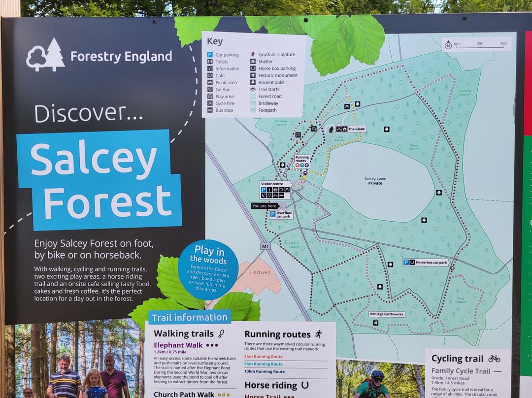 Salcey Forest景点图片