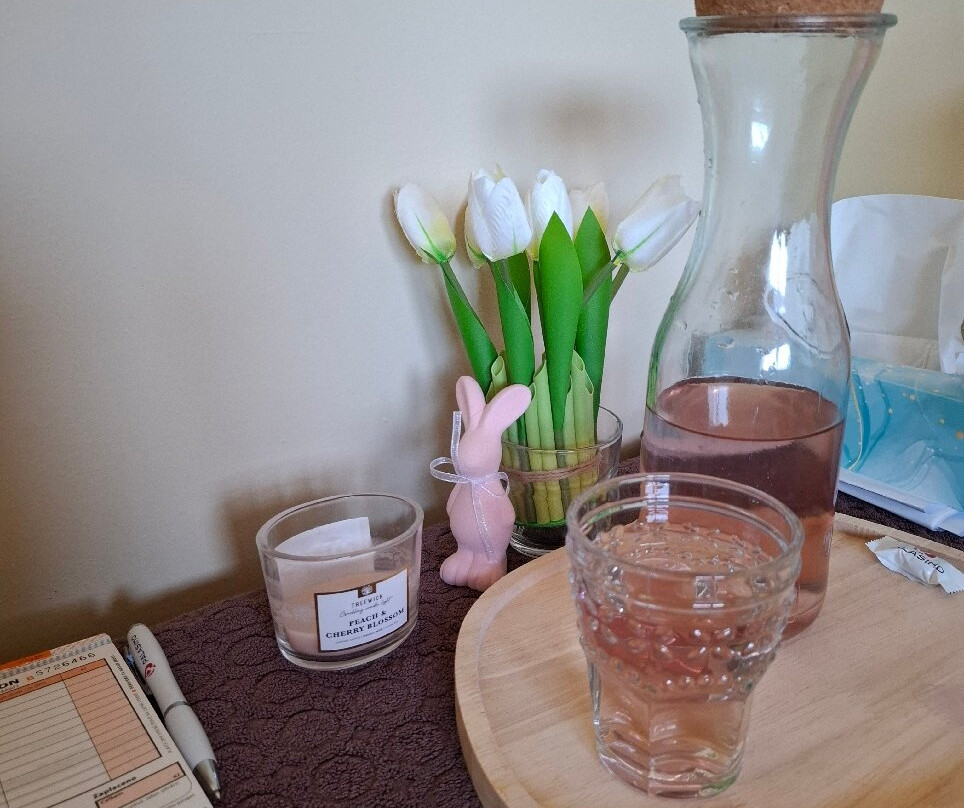 萨凡纳酒店主图