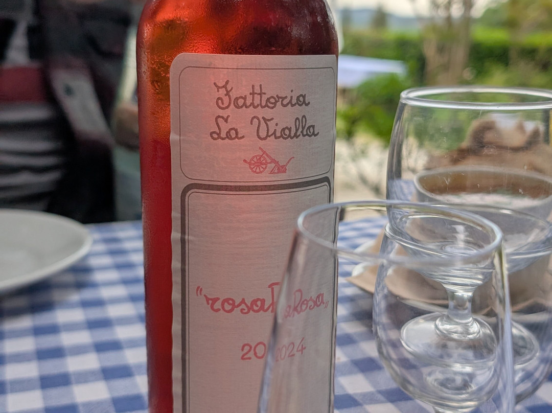 Fattoria La Vialla-Castiglion Fibocchi必去景点