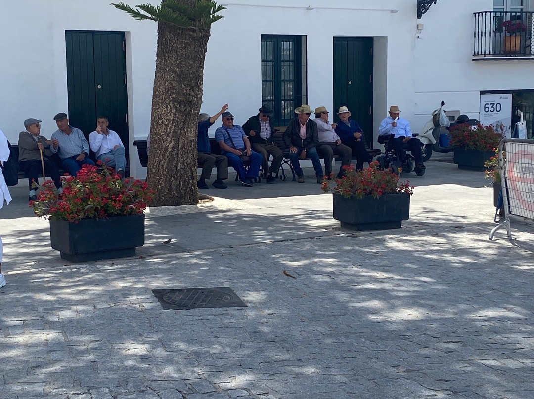 Centro Urbano De Frigiliana.-弗里希利亚纳必去景点