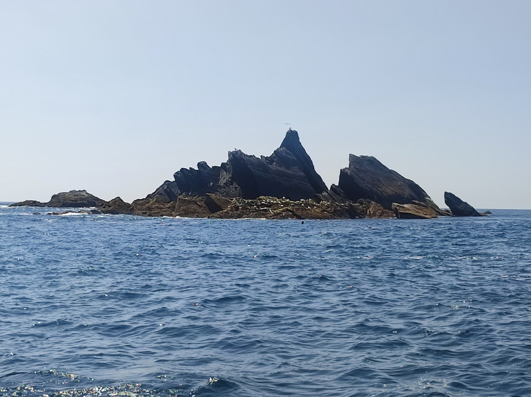 West Cork Ocean Tours景点图片