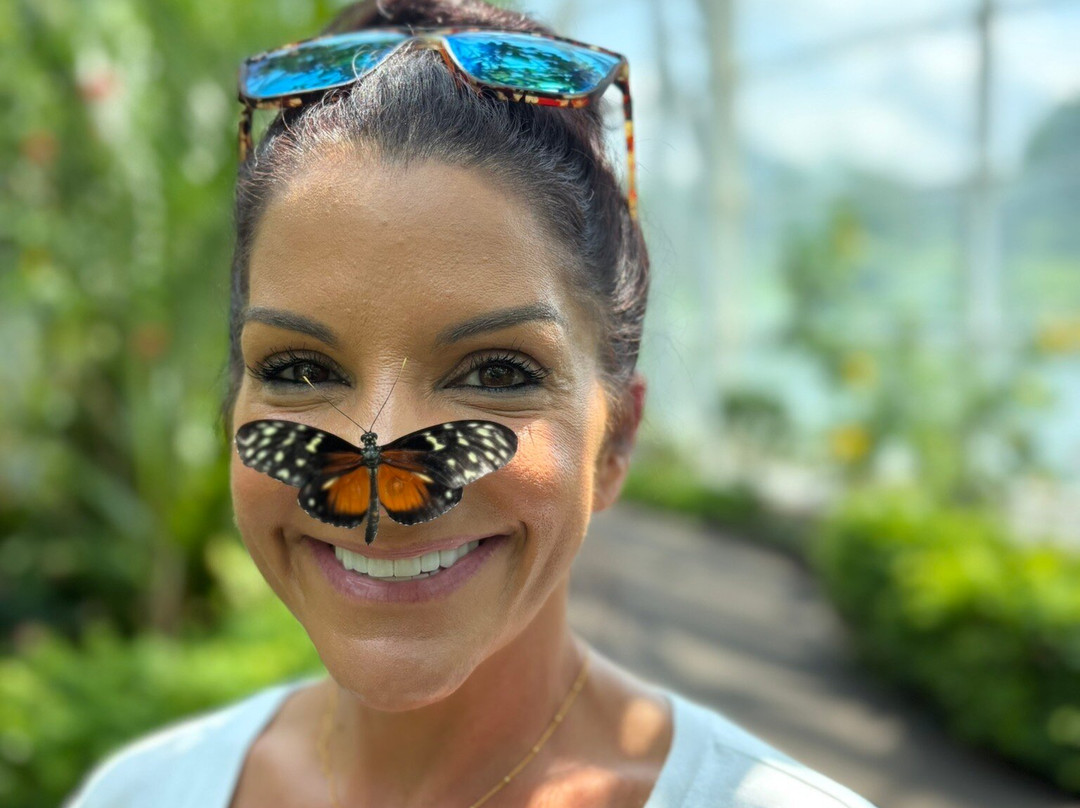 The Sophia M. Sachs Butterfly House-切斯特菲尔德必去景点