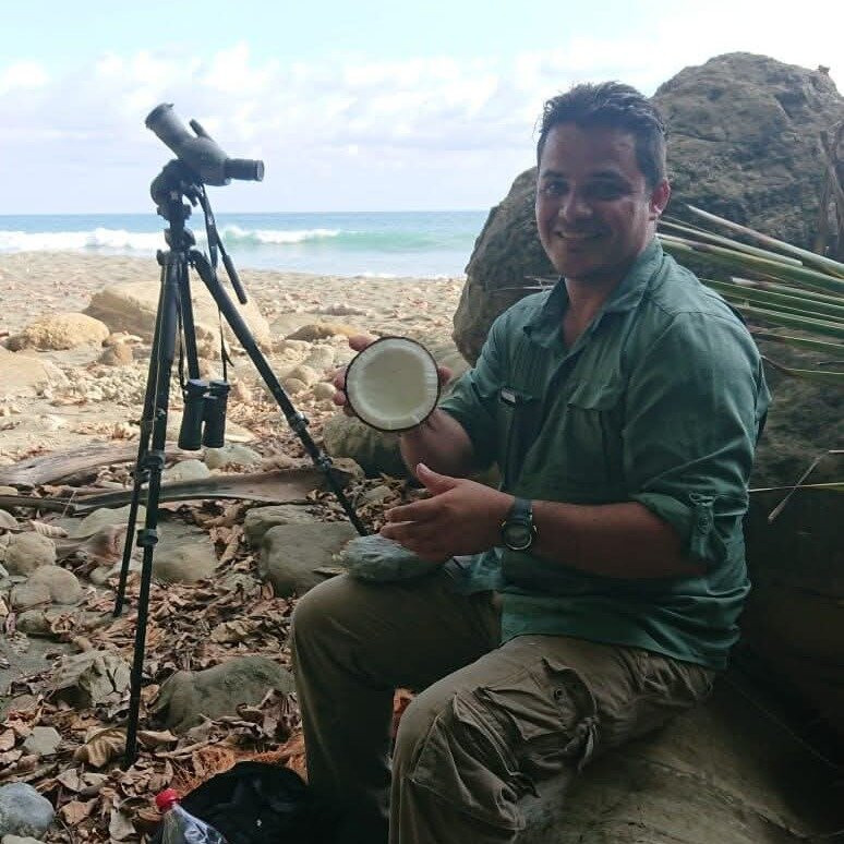 jenkins corcovado tours