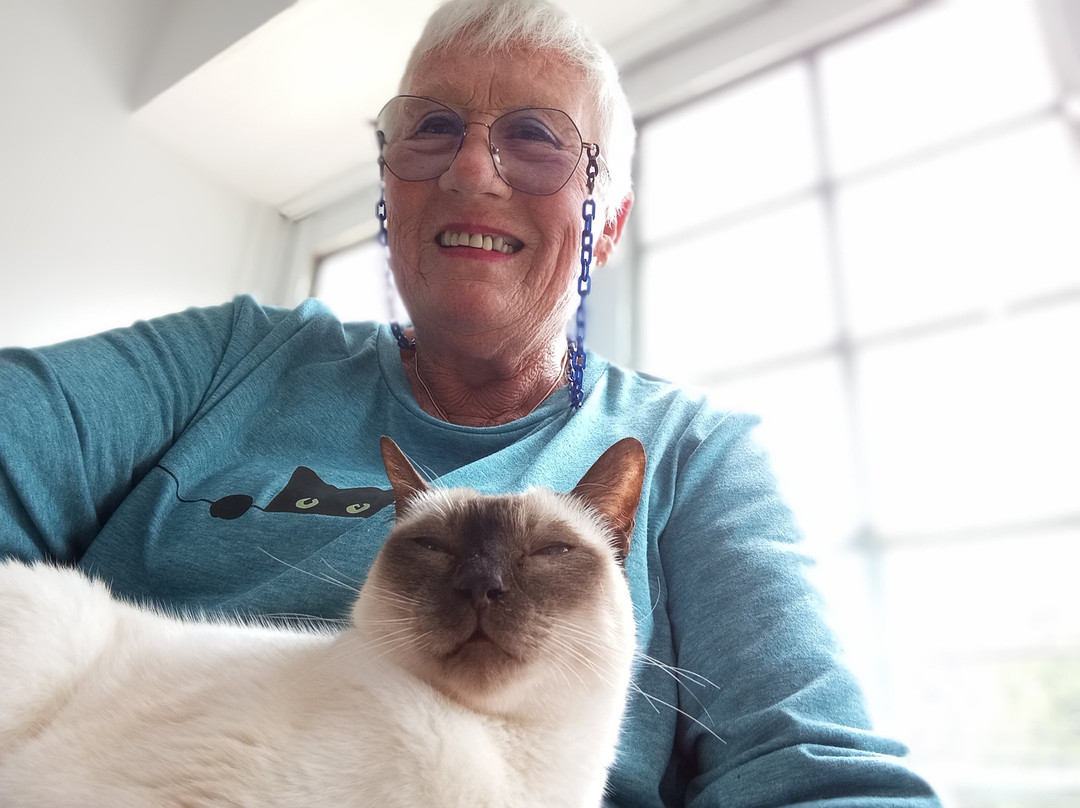 Cat＆Animal Cafe Noah's Ark-京都市必去景点