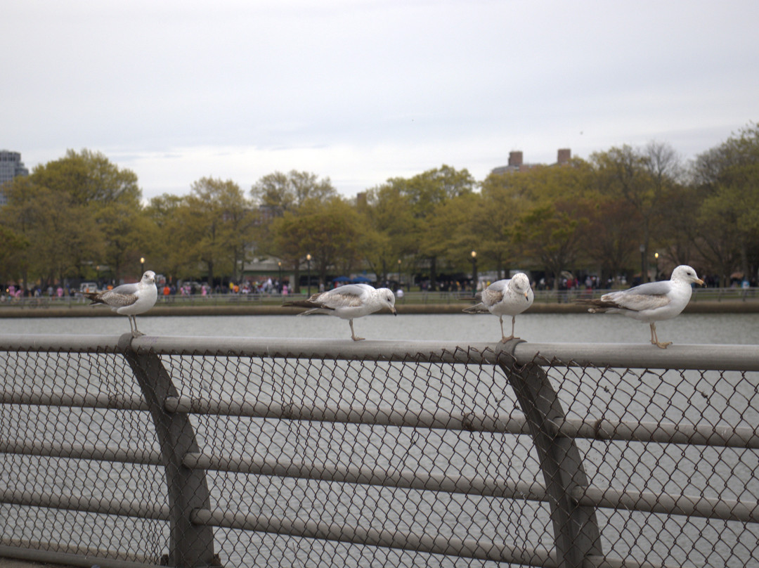 法拉盛草原-可罗娜公园-法拉盛必去景点